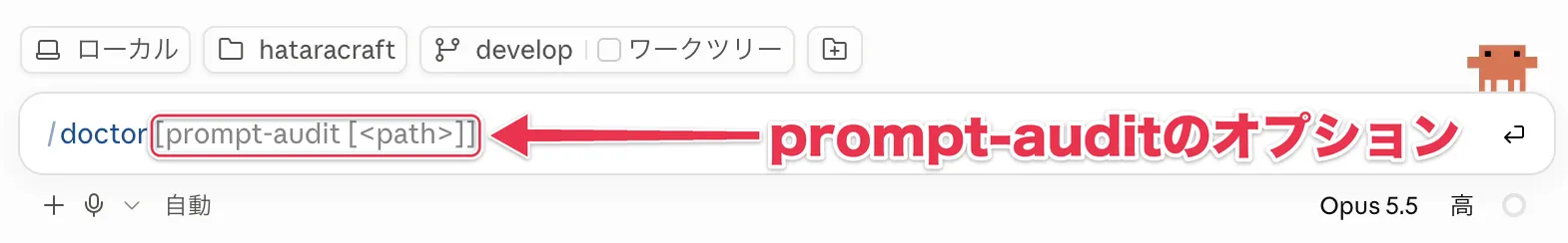 /doctorの後ろに表示されるprompt-auditのオプション
